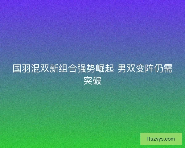 国羽混双新组合强势崛起 男双变阵仍需突破